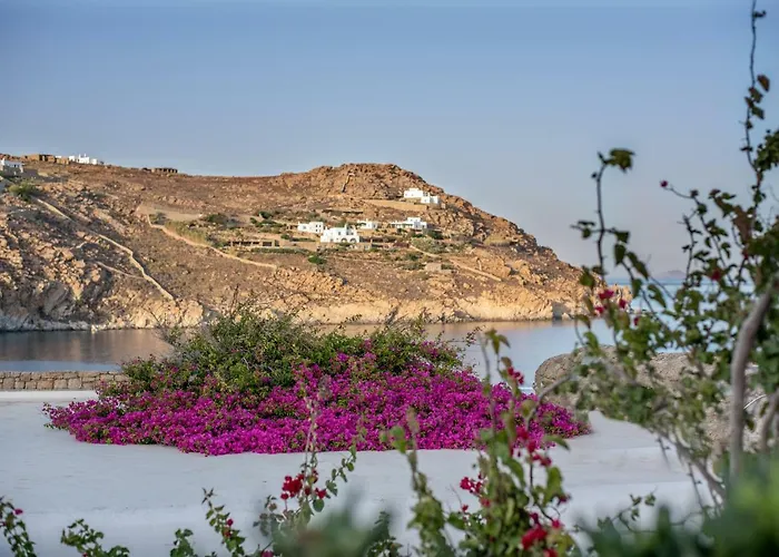 Etesians & 게스트하우스