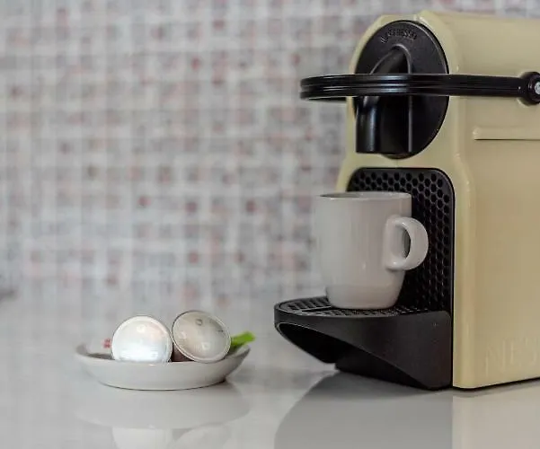 Etesians & 수퍼 파라다이스 비치