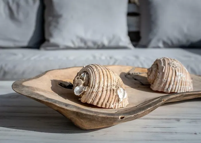 Etesians & 招待所