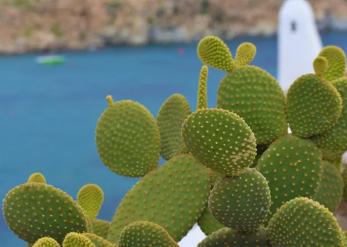 Etesians & Gasthof Super Paradise Beach (Mykonos)