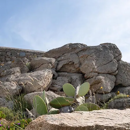 Guest house Etesians & Super Paradise Beach (Mykonos)